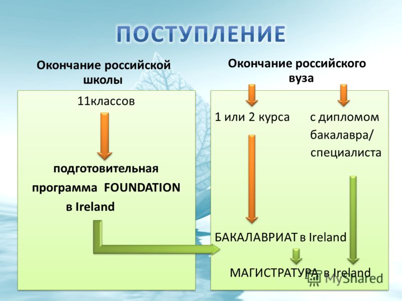 После 11 класса бакалавр или специалитет. Бакалавр специалитет. Схема бакалавр Магистр специалист. Кто выше специалист или бакалавр.