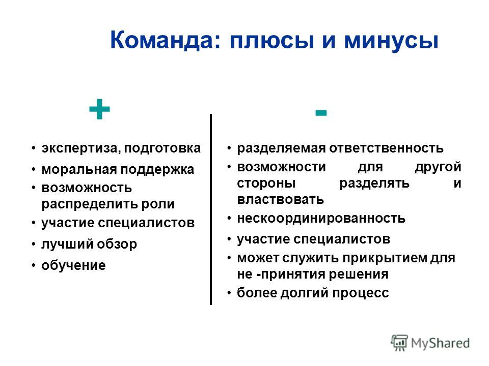 Какие есть плюсы и минусы у описания проекта