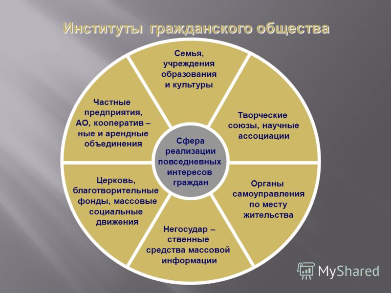 Организация сферы образования. Институты гражданского общества. Становление институтов гражданского общества. Институты гражданского общества в РФ. Институты гражданского общества примеры.