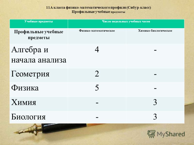 Какие предметы после 9 класса девушке. Предметы в физико-математическом классе. Учебный план физико-математического профиля. Физико-математический класс какие предметы. Математический класс предметы.