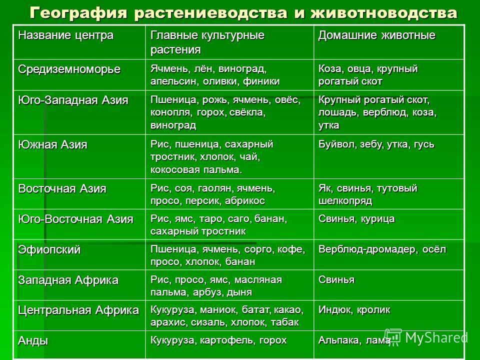 Дайте характеристику отрасли растениеводства. Таблица сельскохозяйственные культуры. География мирового растениеводства и животноводства. Основные отрасли растениеводства и животноводства. Специализация растениеводства и животноводства.