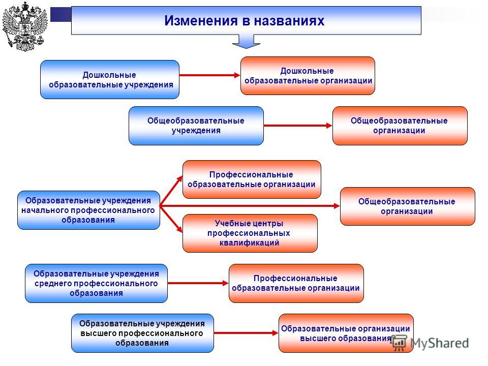 Регистрации доу. Среднее специальное «дошкольное образование». Наименование общеобразовательного учреждения. Наименование образовательной организации (специалитет). Название общеобразовательного учреждения и его местонахождение.