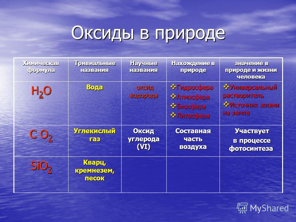 Куда можно поступить с химией и русским