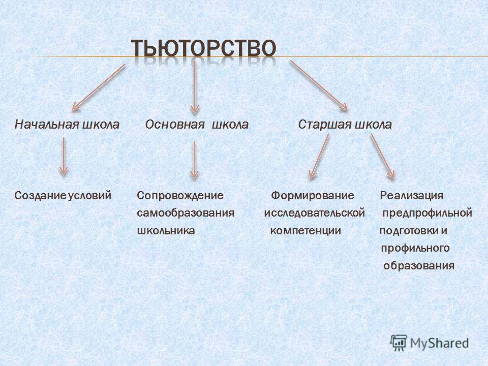 Как называется тьютор помогающий осваивать технологию написания проектов