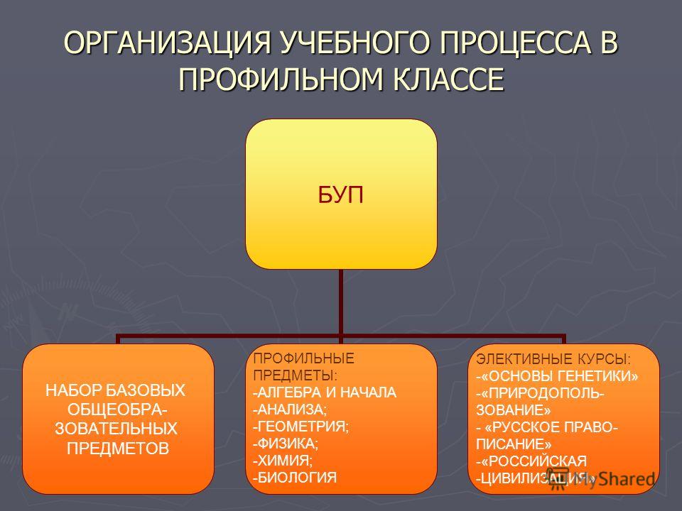 Что такое предмет в проекте