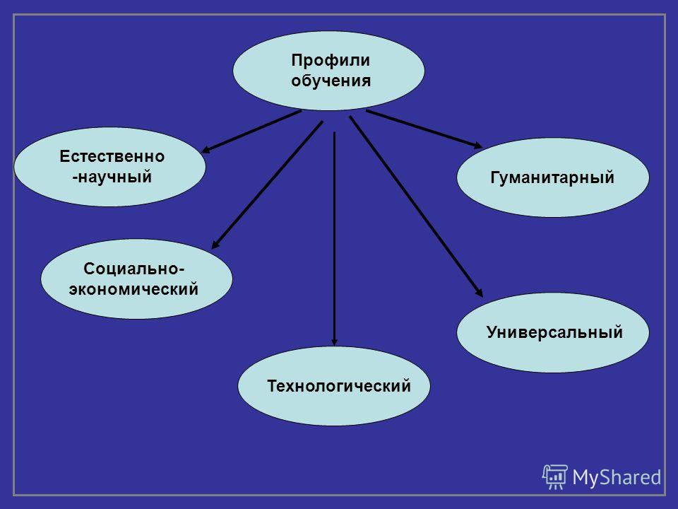 Естественное обучение