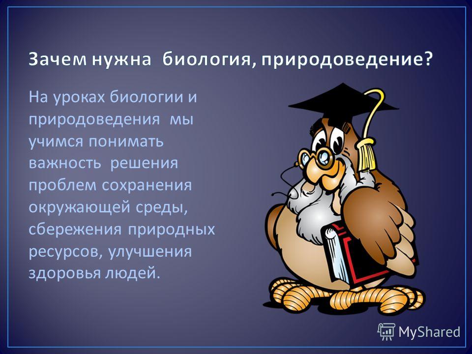 Сочинение Про Урок Биология В Научном Стиле