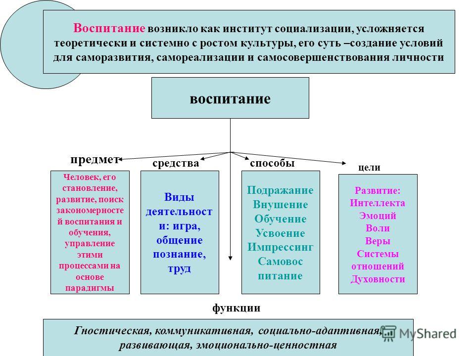 Институты социализации личности. Институты социализации личности школа. Основные социальные институты воспитания и социализации. Институты воспитания. Институты воспитания схема.