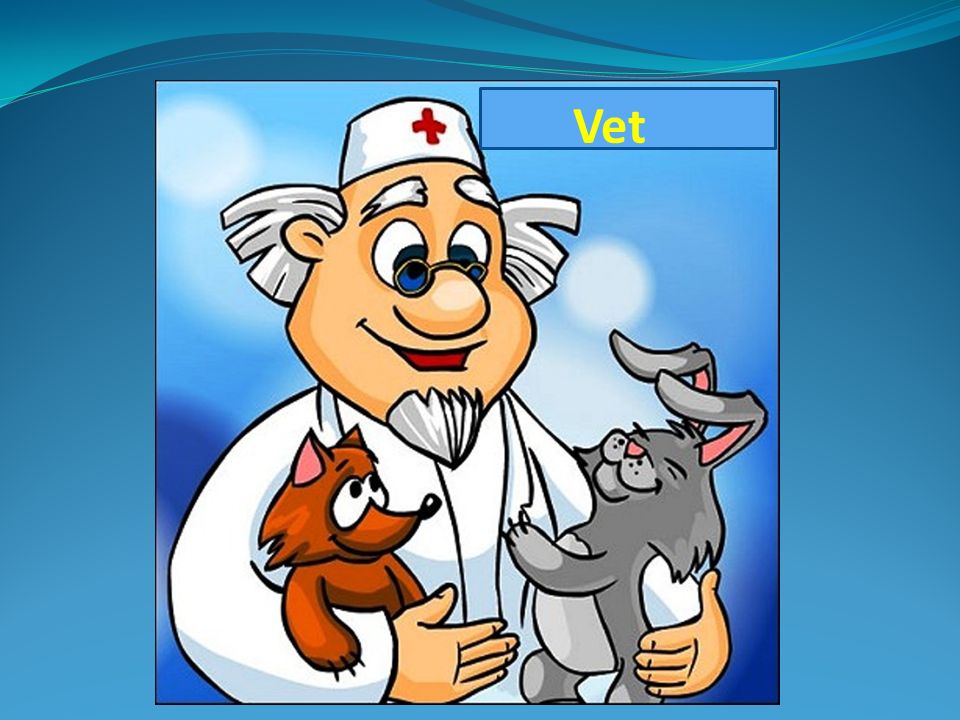 Сценка айболит. Ветеринар доктор Айболит. Профессия ветеринар. Врач ветеринар для детей. Открытка ветеринару.