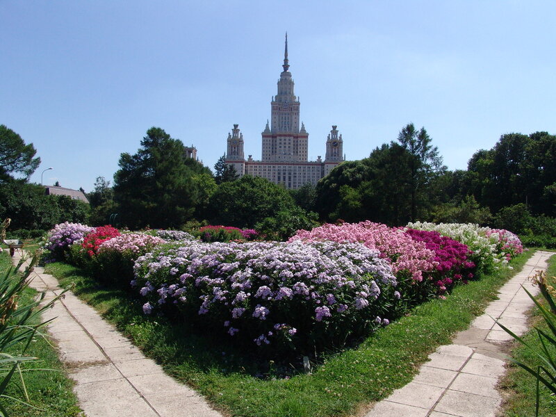 Дендрарий санкт петербург