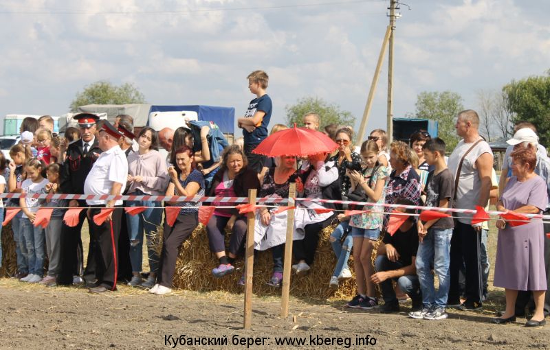 Погода в брюховецкой