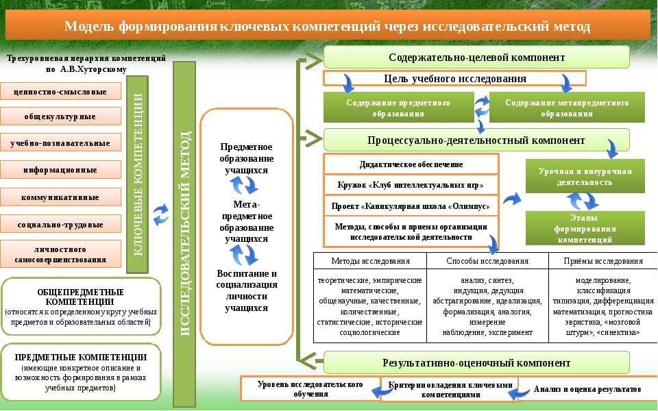 Структура учебного плана педагогика