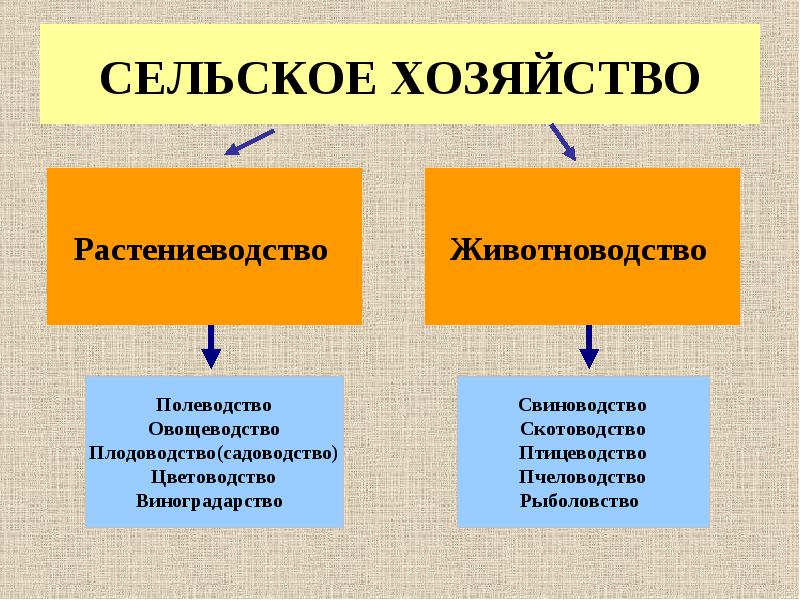 Интенсивный путь развития хозяйства это Интенсивное развитие примеры