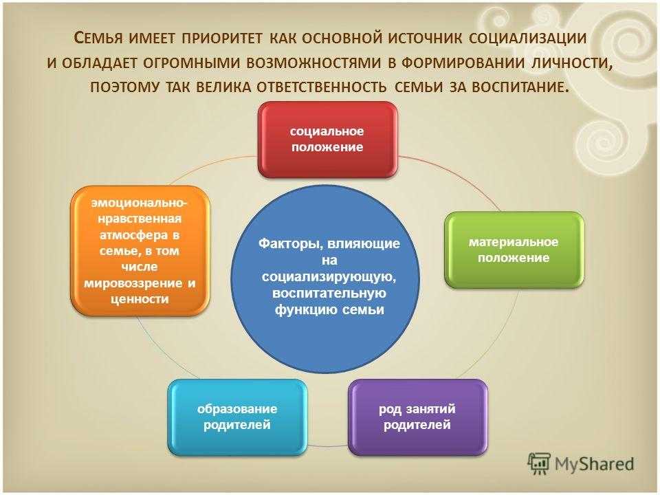 Каковы возможности скрытого учебного плана школы в социализации учащихся