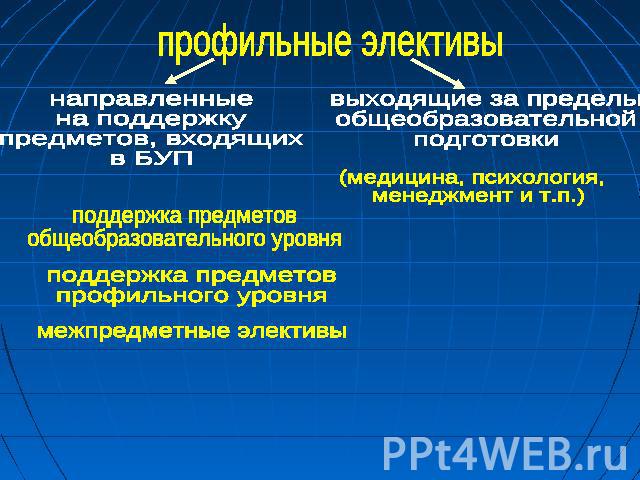 Электив. Эллектив или электив. Электив это в школе. Предмет электив. Предметные элективы.