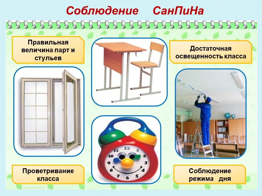 Классификация санпин