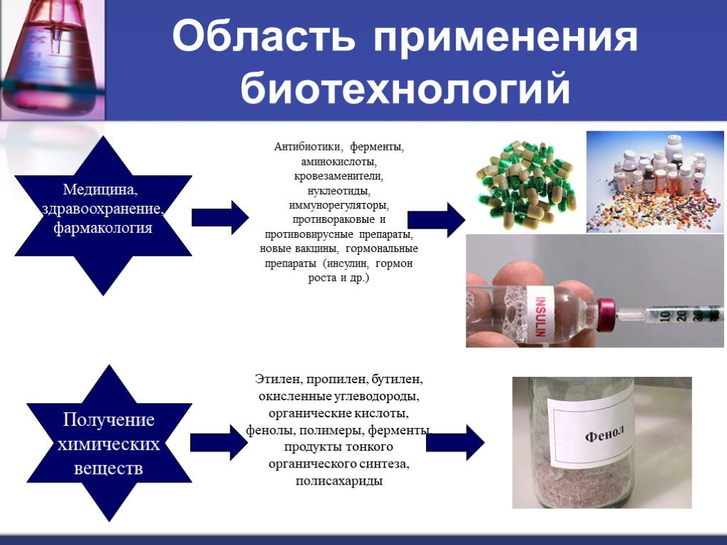 Используются для получения антибиотиков. Медицинская биотехнология. Сферы использования биотехнологии. Применение биотехнологий. Биотехнология примеры.