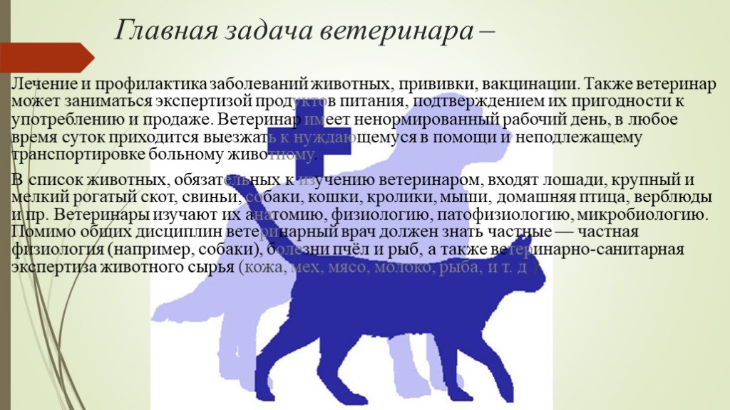 Презентация по ветеринарии