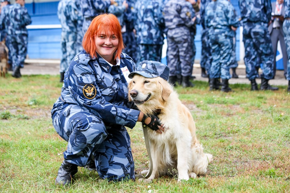 Где можно выучиться на кинолога: Где учат накинолога?