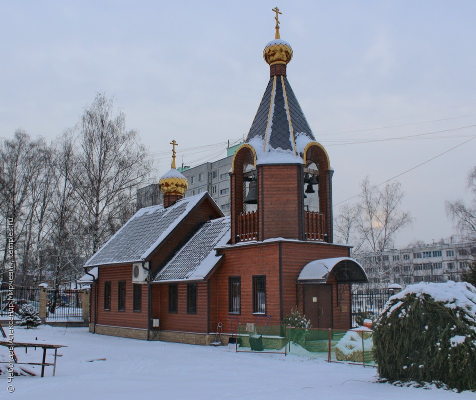 Лесной Пушкинский Район Фото