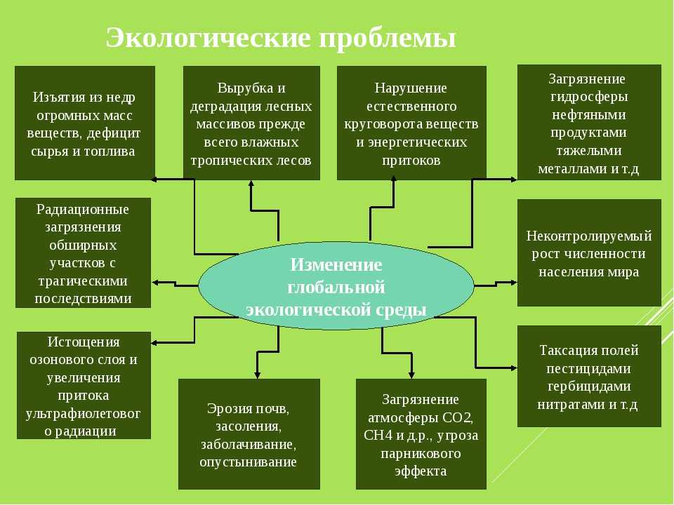 План егэ охрана окружающей среды рф