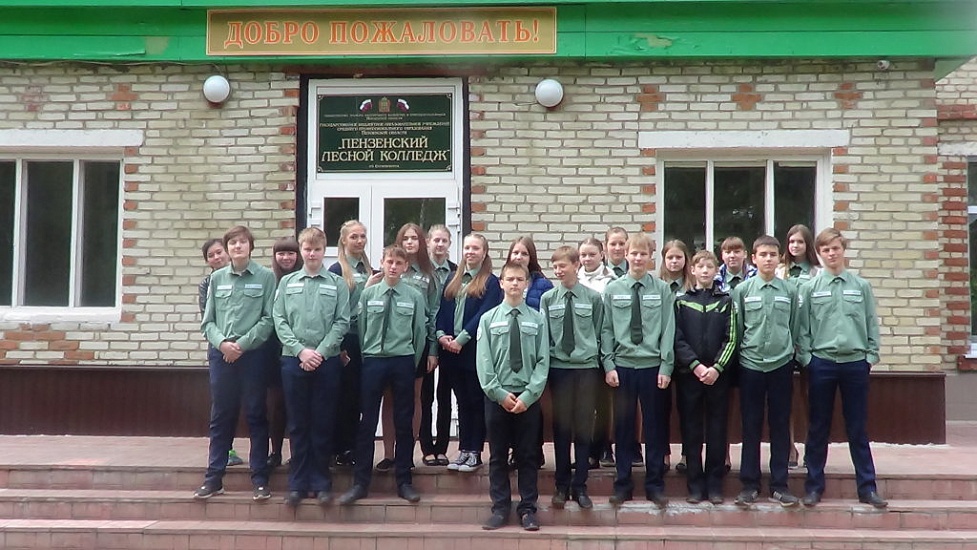 Пензенский лесной. Сосновоборский Лесной колледж Пензенская область. Пензенский Лесной техникум. ГБОУ СПО Пензенской области Пензенский Лесной колледж. Пензенский Лесной колледж общежитие.