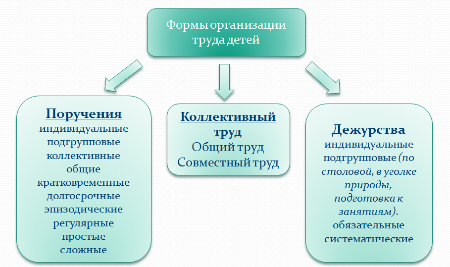 Формы организации проекта в доу