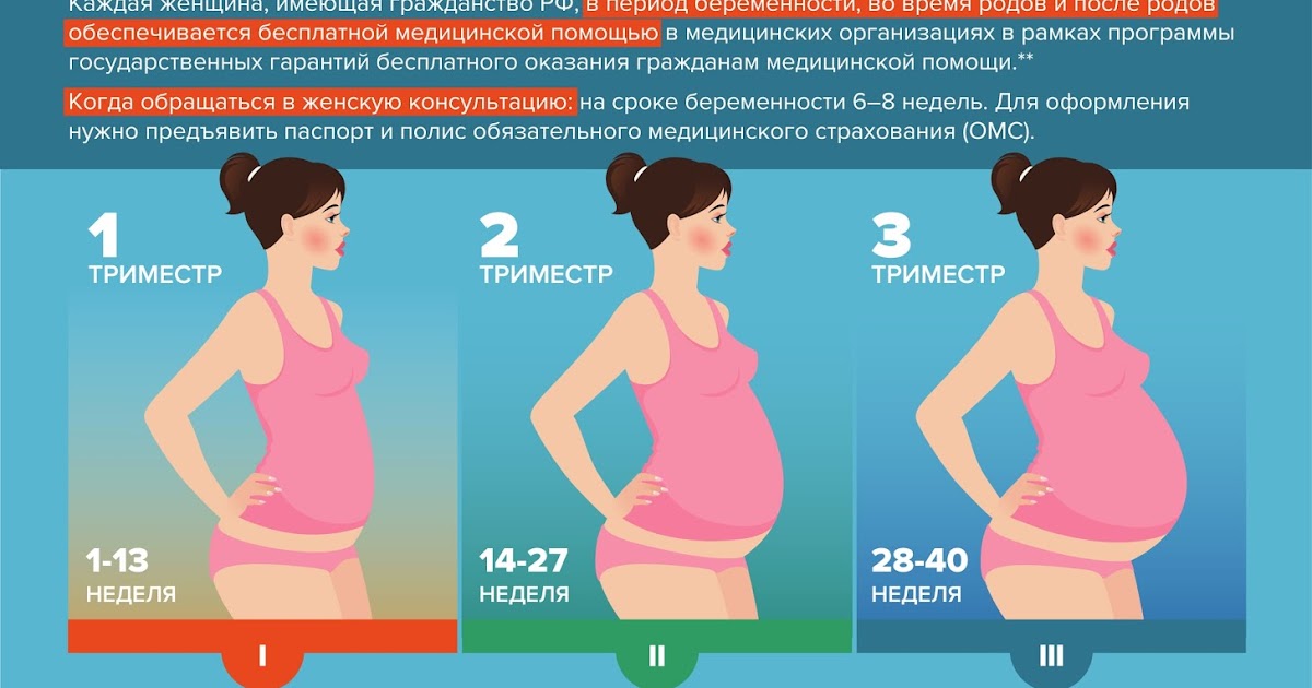 Триместры беременности по месяцам и неделям