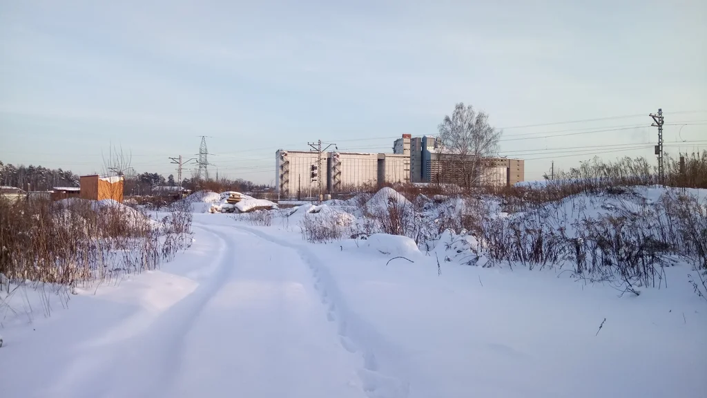 П лесной. Пушкинский район Королев Лесные Поляны улица новая 1б.