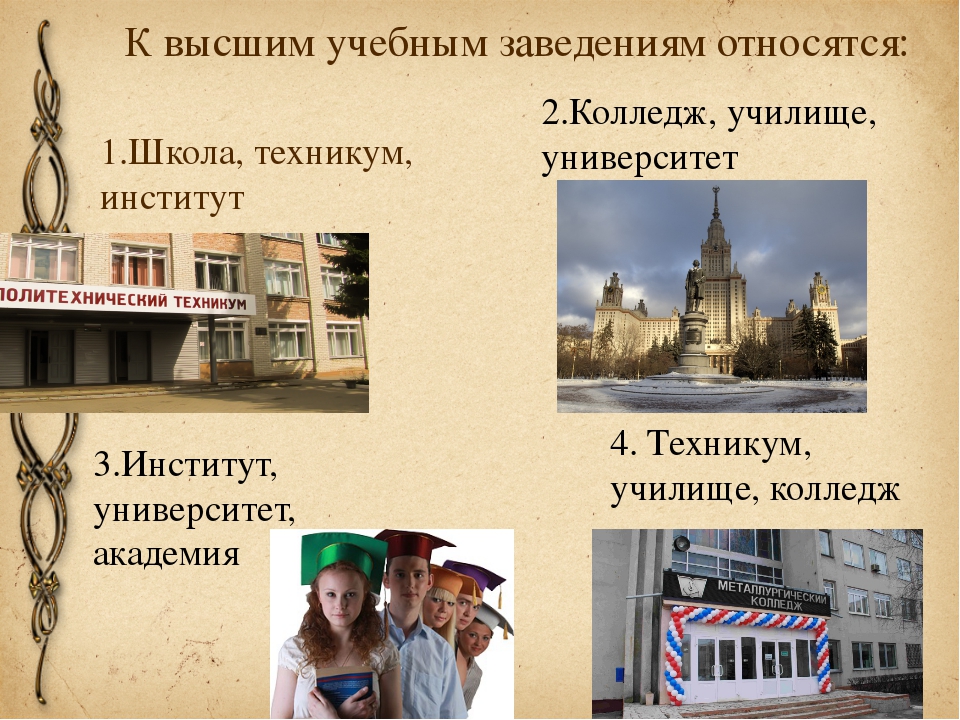 Колледжи относятся