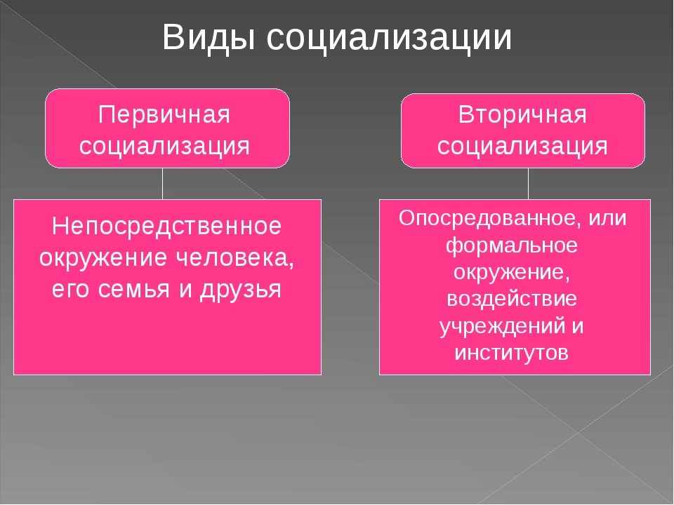 Составь в тетради схему агенты социализации указав какие агенты социализации относятся к первичным к