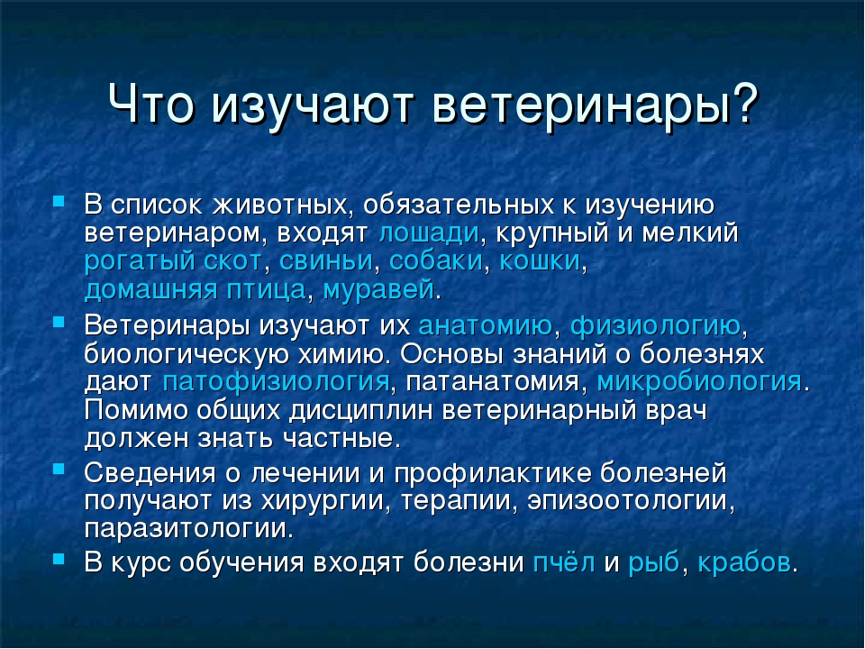 Ветеринар какую работу выполняют люди этой профессии. Какие предметы надо для ветеринара. Какие предметы сдавать на ветеринара. Что надо сдавать чтобы поступить на ветеринара. Что нужно знать чтобы поступить на ветеринара после 9 класса.