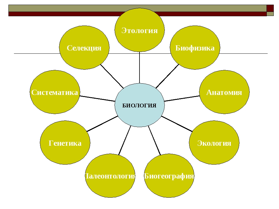 Науки в сфере биологии