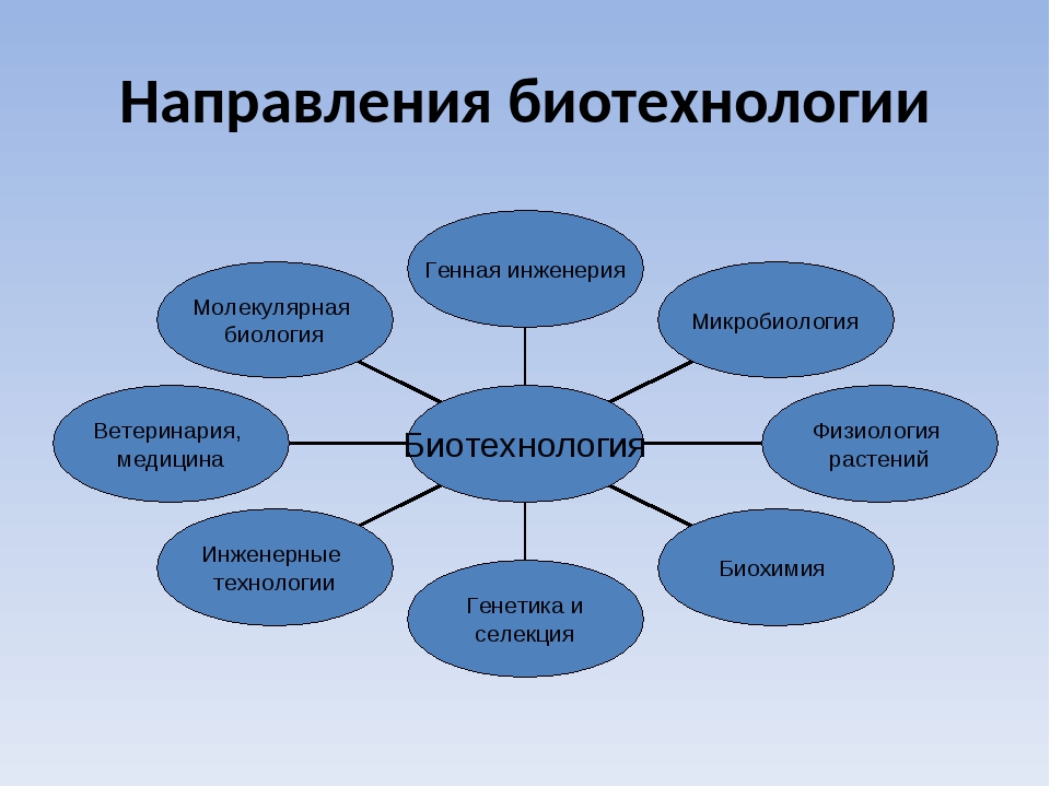 Проект по биотехнологии 10 класс