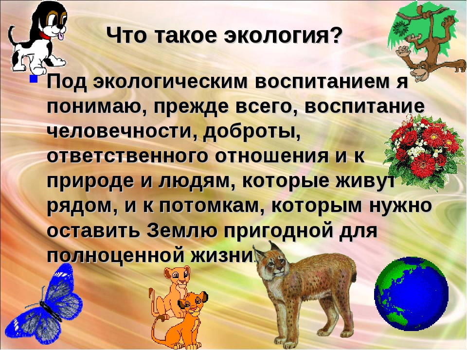 Что такое экология кратко. Экология. Эдукология. Экала это.