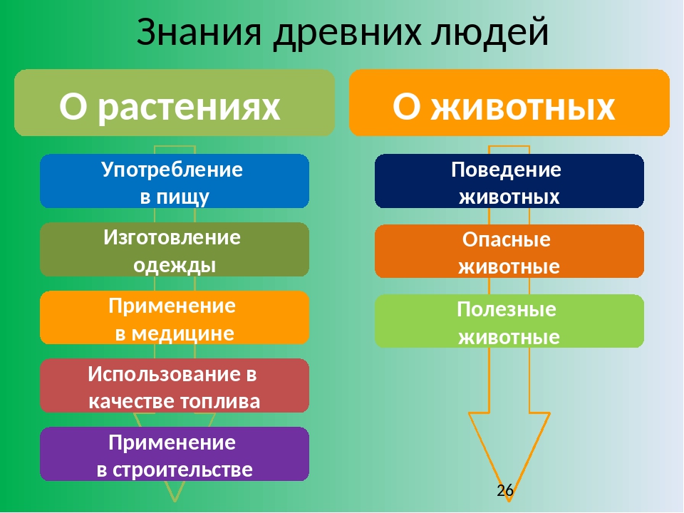 Отрасли науки о природе. Биологические науки презентация. Биология наука о живой природе. Науки биологии 5 класс. Наука о живой природе 5 класс.