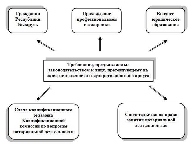 Структура нотариата схема