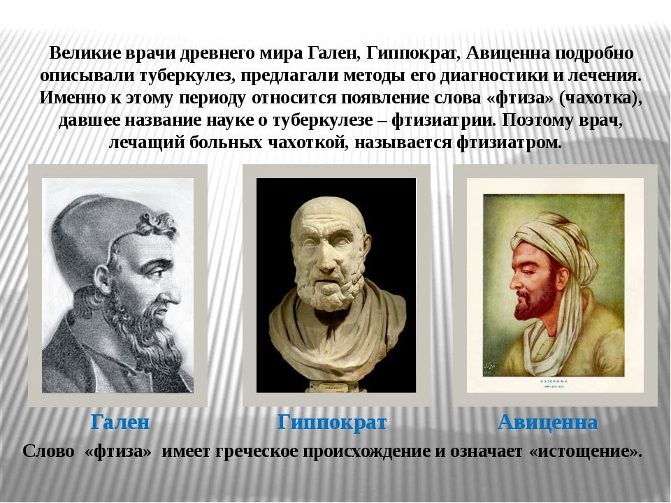 Первые врачи в древнем. Гиппократ Гален Авиценна. Известные ученые медики.