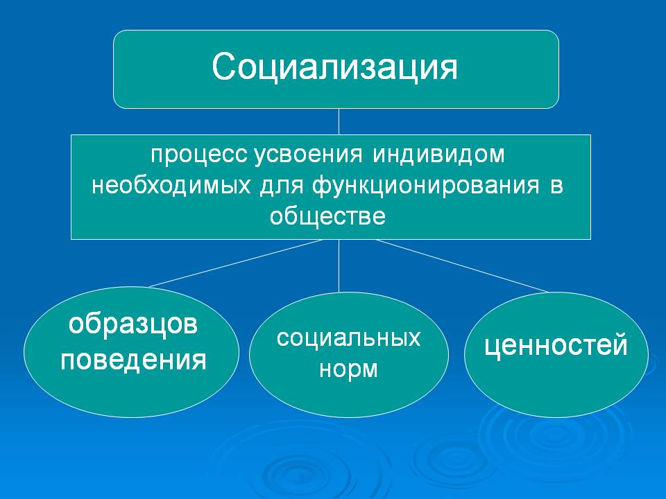 Процесс усвоения индивидом образцов поведения социальных норм и ценностей необходимых для успешного