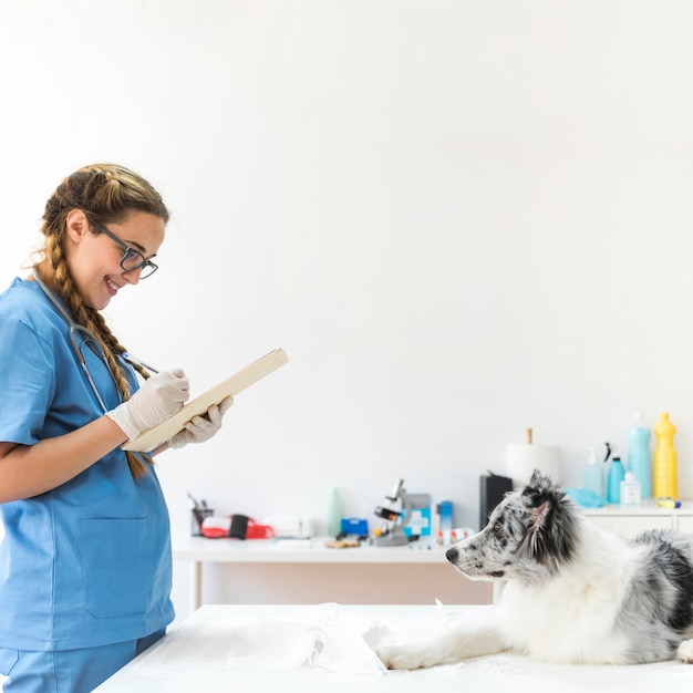 expedientes veterinarios femeninos escritura tablero perro que sienta tabla clinica 23 2147928540