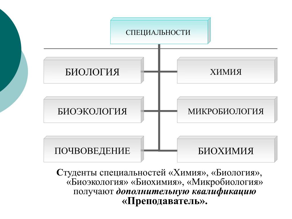 Профессии связанные с биологией презентация