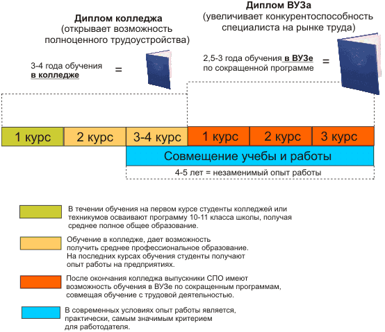 Нужно ли после колледжа. Программы обучения в вузах. Программа обучения в университете. Периоды обучения в колледже. Срок обучения в техникуме.