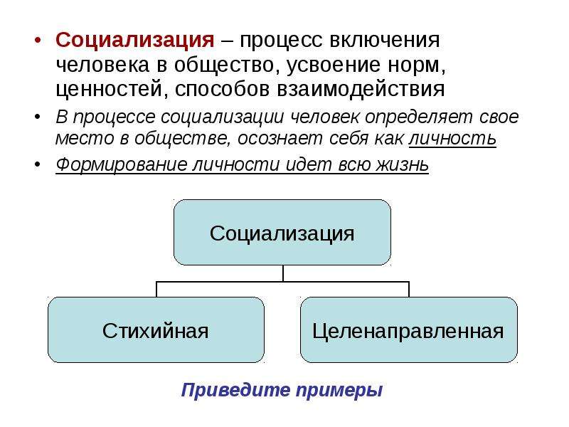 Социализация план егэ