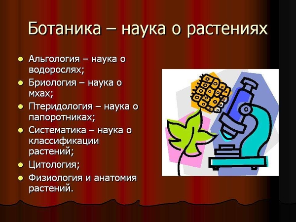 Профессии связанные с растениями