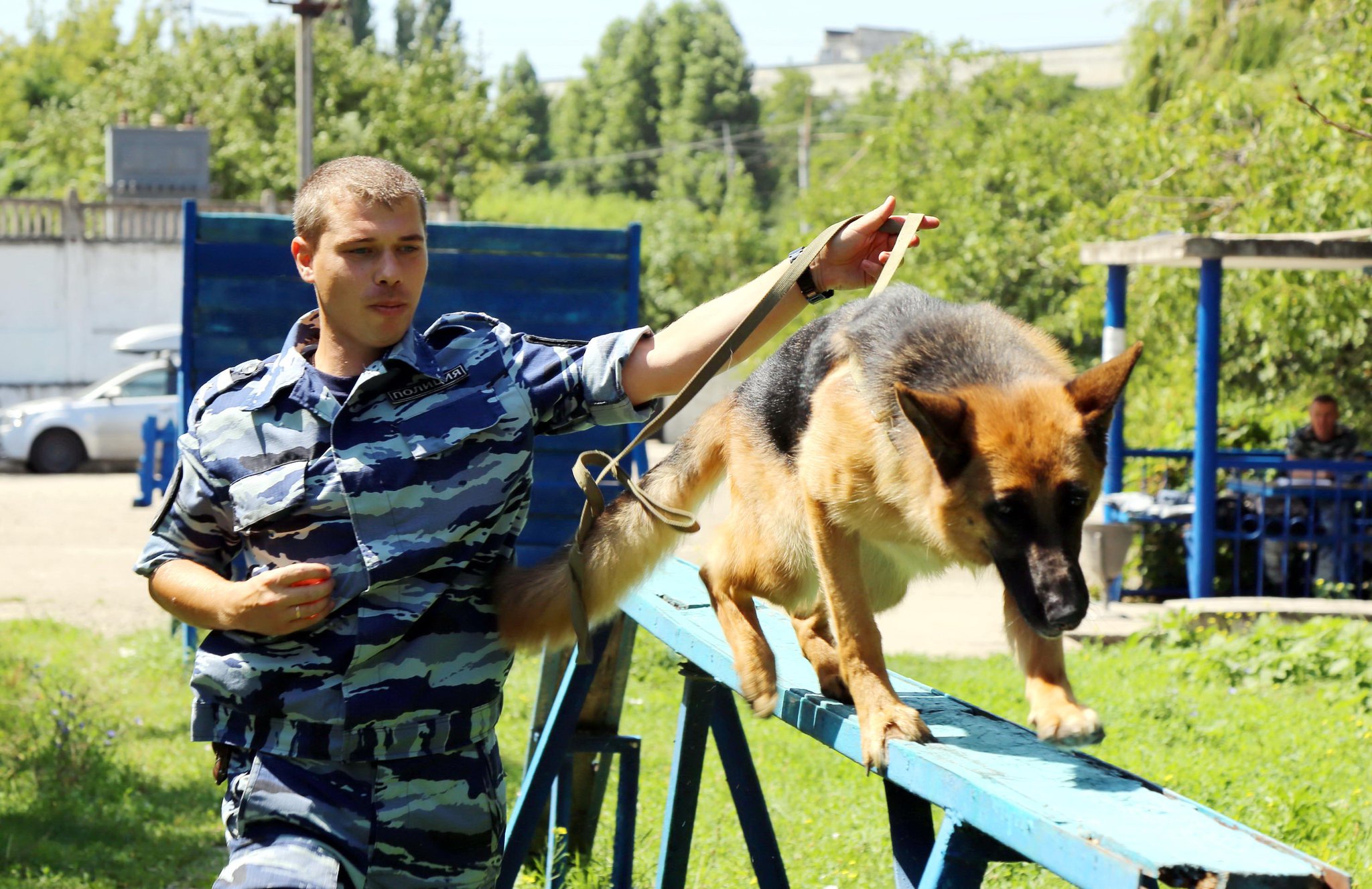кинологи крыма. кинологи крыма. кинологический центр новосибирск. форма кинолога мвд. основана международная федерация кинологов.