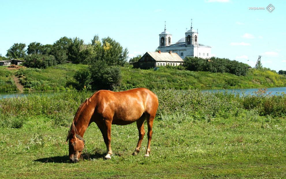 Пенза башмаково карта