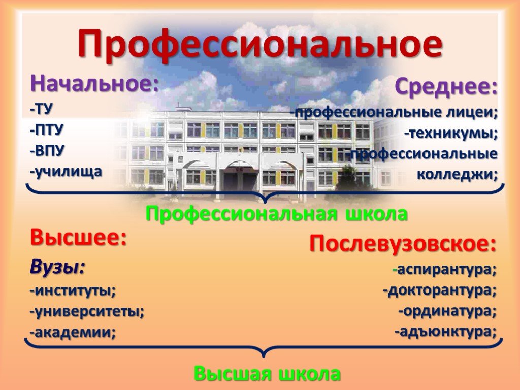 После школы колледж какое образование. Училище колледж техникум институт университет. Что такое вуз университет и институт и колледж. Отличие техникума от колледжа. В колледжи, техникумы, училища, лицеи.