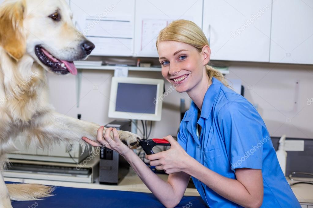 depositphotos 108975438 stock photo smiling woman vet taking care