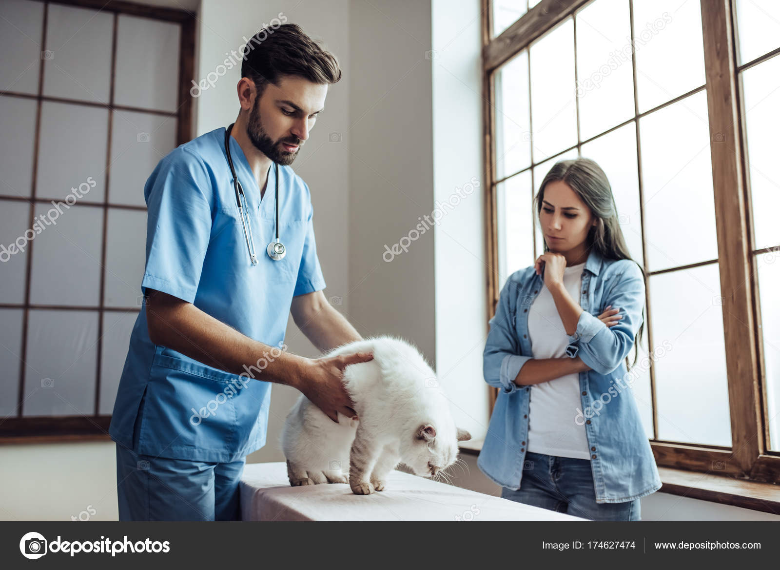 depositphotos 174627474 stock photo doctor veterinarian at clinic