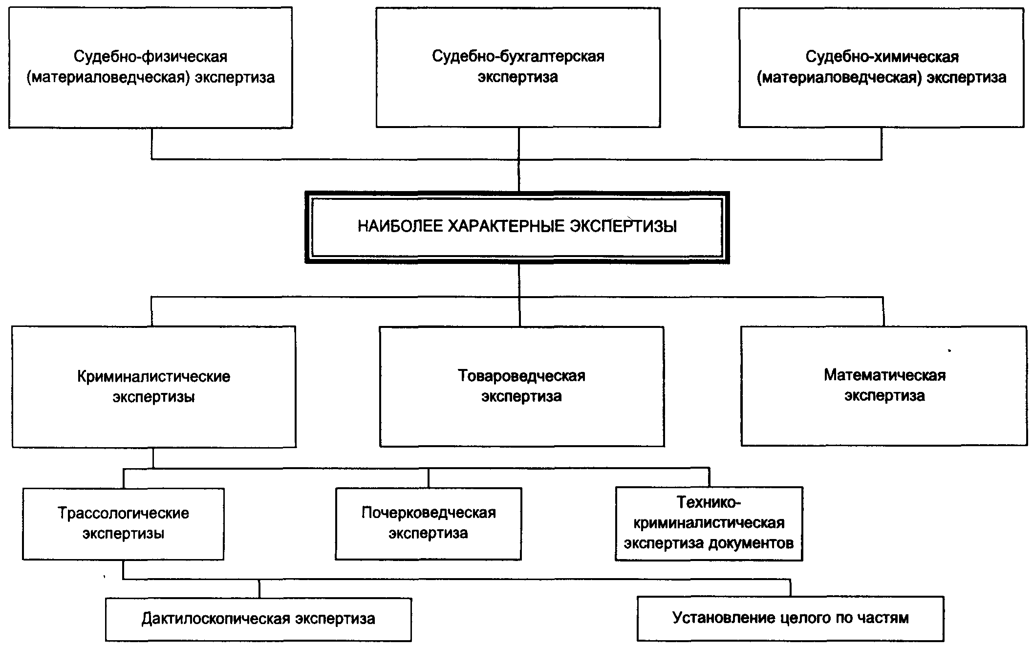 Судебная экспертиза бизнес плана